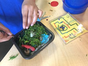 Child creating a small terrarium for an airplant. Image also shows their CD maze challenge example.