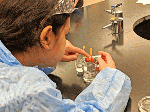 A student in the Lesley lab conducts an acid test on a select group of rocks. They have dropped a rock into a beaker and are using PH strips to determine the acidity of each specimen.