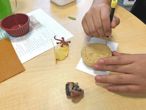 A student creates an impression of a reptile form into their rock formation to model an imprint fossil. They are using a tiny screw driver to create a dot pattern around their fossil.